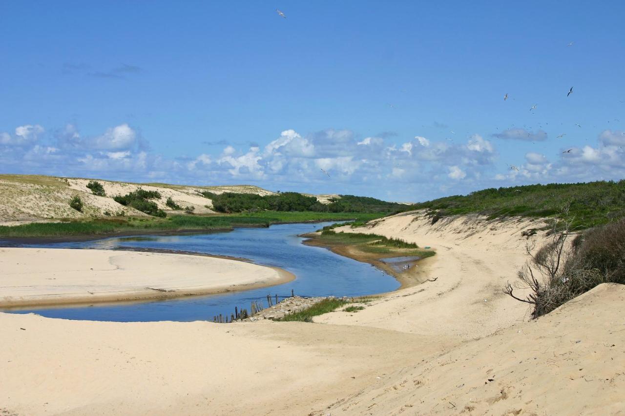 Le Hameau Des Vagues 4-5 Pers Piscines Et Nature A Moliets المظهر الخارجي الصورة